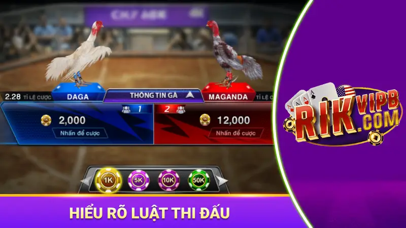Dựa vào từng loại hình thi đấu để chọn chiến kê phù hợp