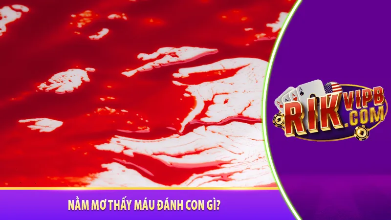 Nằm mơ thấy máu đánh con gì